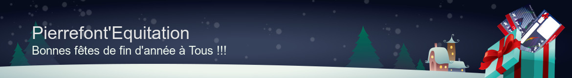 Pierrefont'Equitation